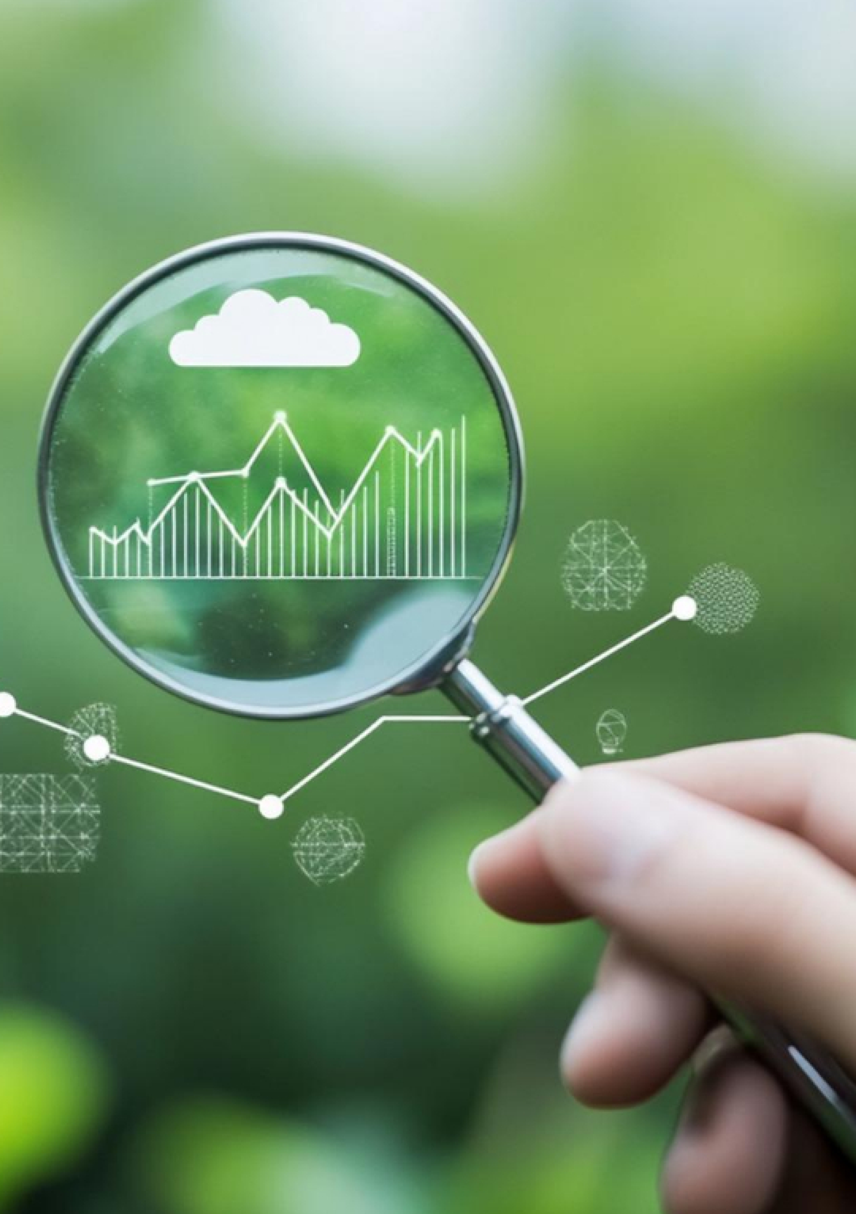 환경 데이터
자동 입력 및 입력